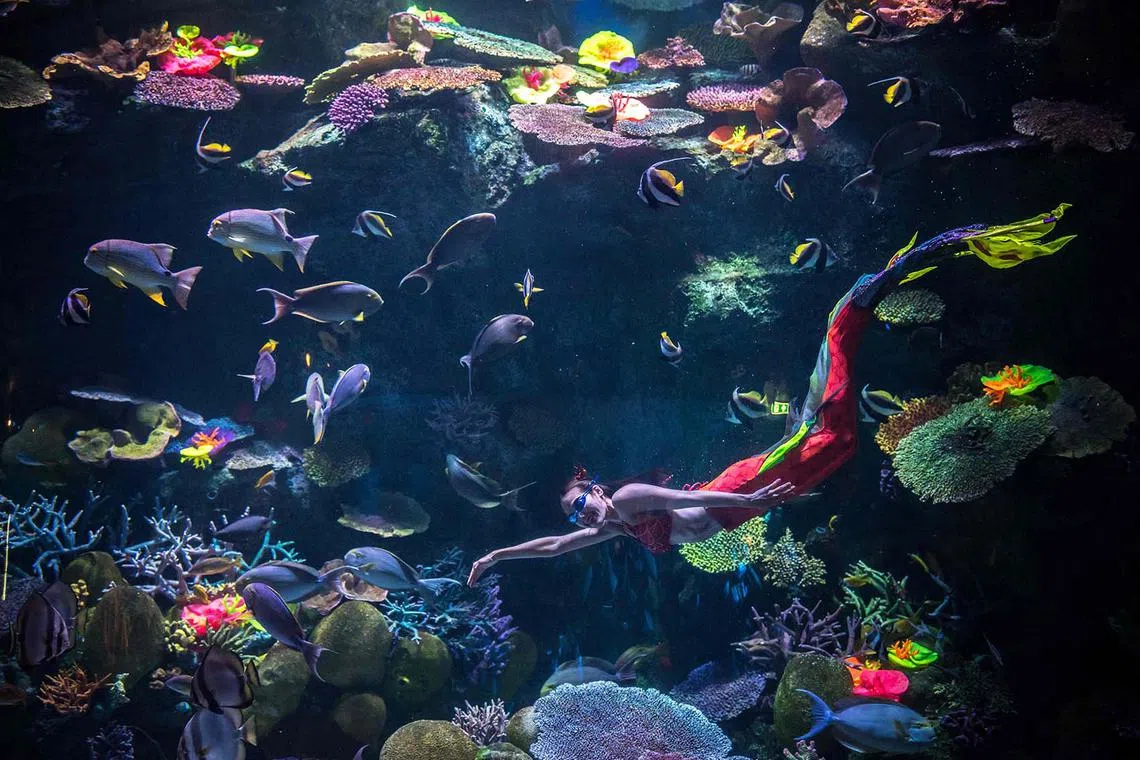 A diver dressed in a mermaid costume poses for pictures at the Sea Life Bangkok Ocean World aquarium in Bangkok on December 21, 2022. (Photo by Jack TAYLOR / AFP)