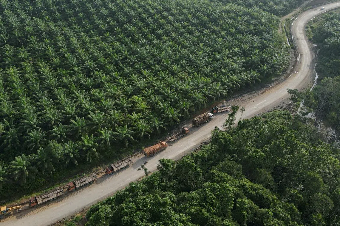 The Adijanto family says it does not intend to make major changes to the business of Global Palm Resources.