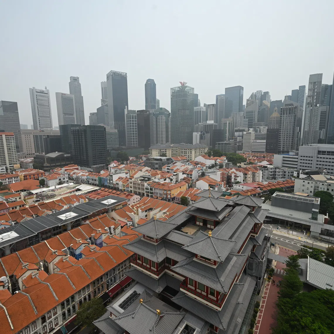 The panel will comprise law firms, audit firms and investigative firms.