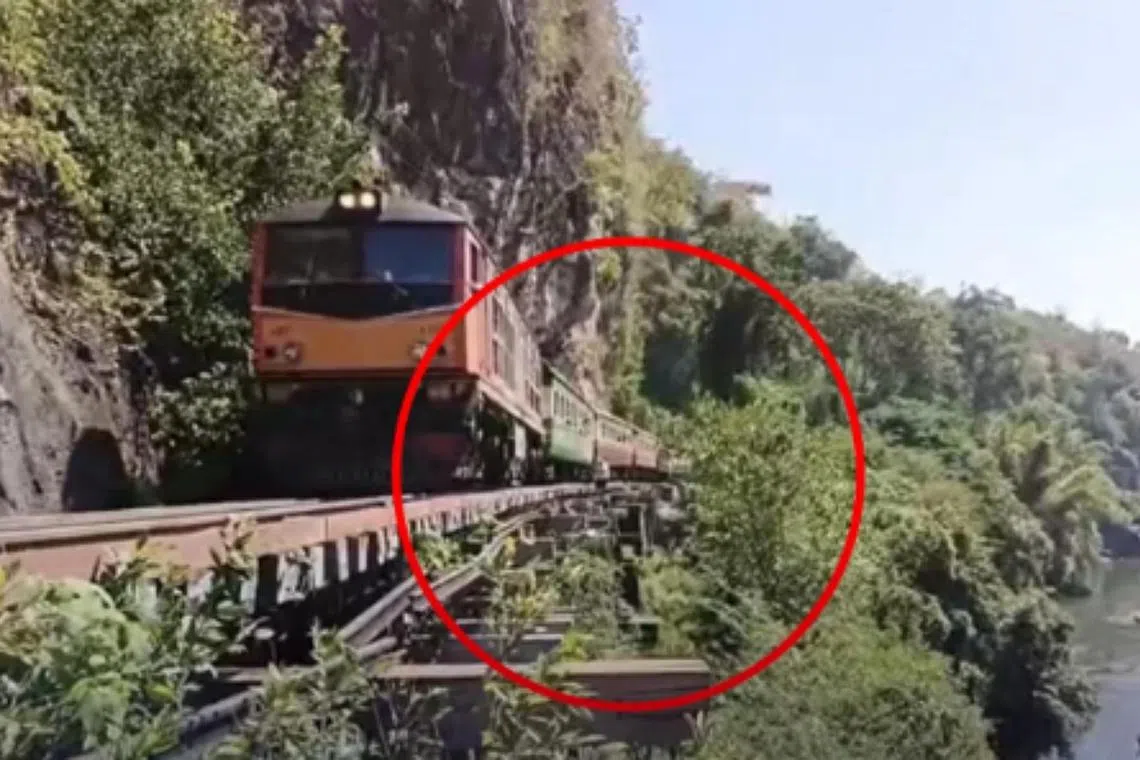 The tourist, identified as Mr Patrick Ward from New Zealand, fell about 10m from the train at Krasae Cave in Sai Yok district.