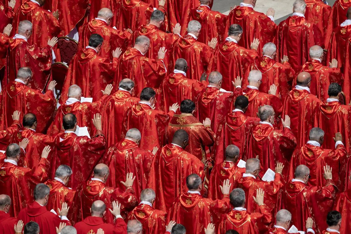 The cardinals set to pick the new pope hail from all corners of the globe.