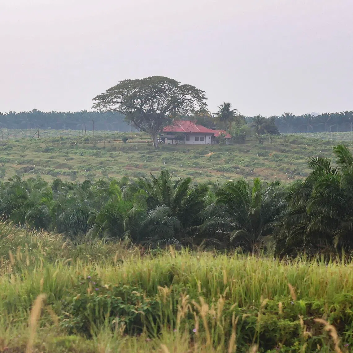 Level 1 heatwave alert, which means maximum daiy temperature can reach between 35 and 37 deg C for three consecutive days, has been issued for some places in the country.