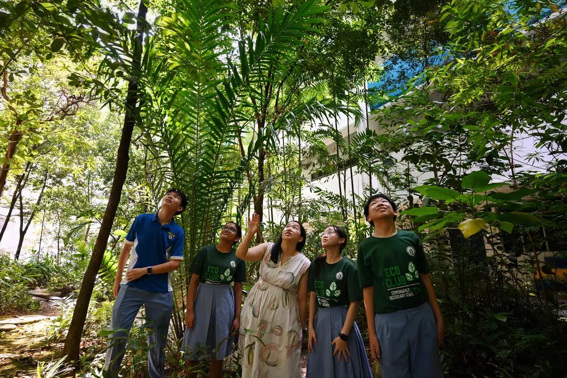 Teacher Lye Zhen Xi (in white) with students from the school's Eco Club in the Rainforest area in Commonwealth Secondary School.