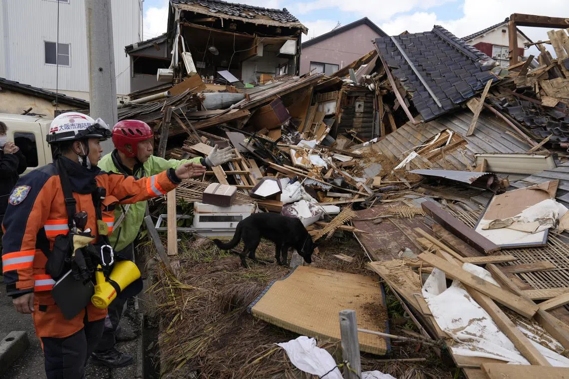 Rescue workers with a dog search for missing people at a collapsed building following an earthquake in Wajima, Ishikawa Prefecture, Japan on Jan 4, 2024. 