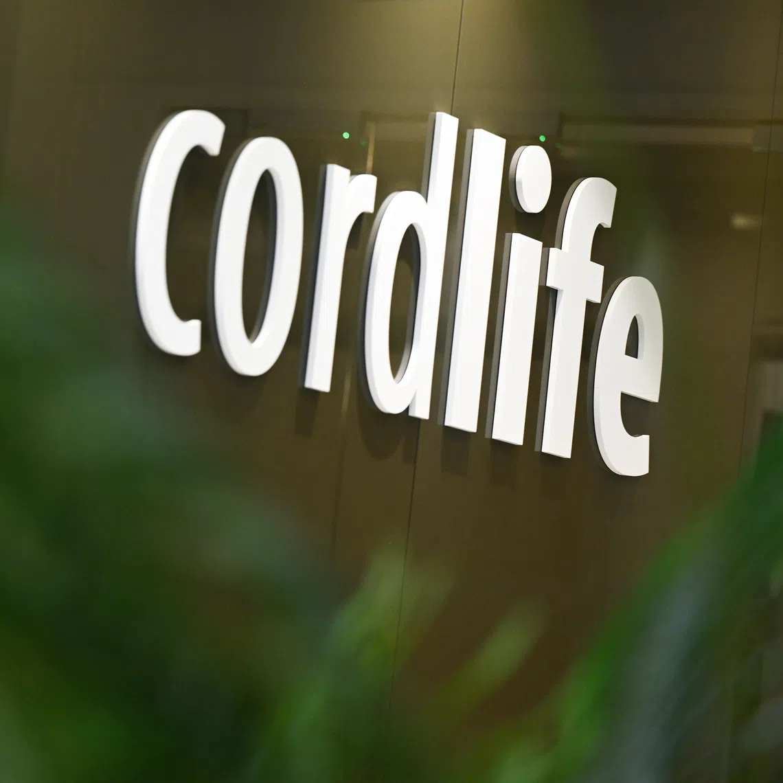 Cordlife was initially asked to submit written representations by Oct 13, failing which, it will be suspended from Oct 14 for a year.