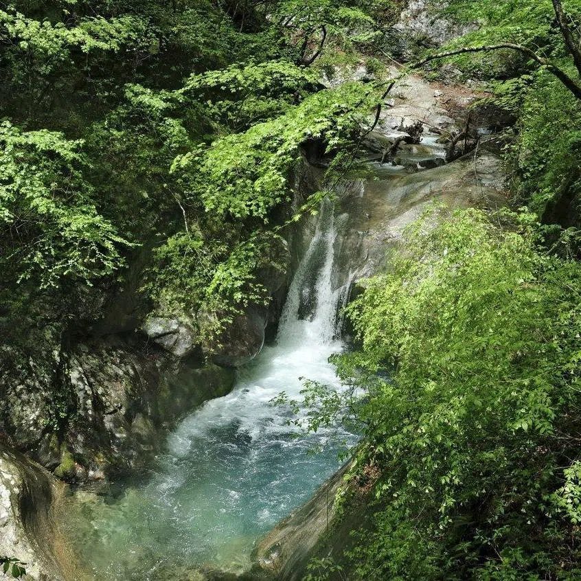 A female hiker died in May after falling into a waterfall pool at Nishizawa Gorge in Yamanashi Prefecture.