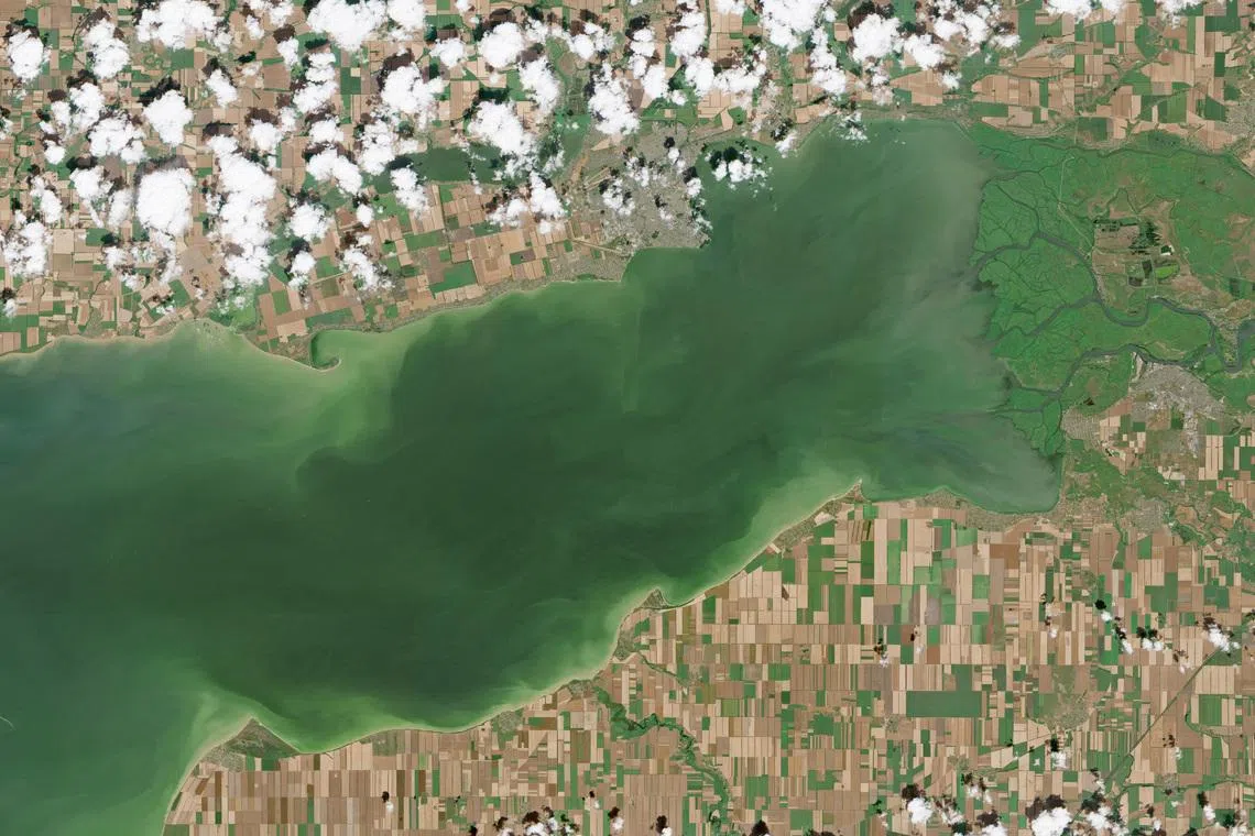 A satellite image of the Sea of Azov, July 13, 2026. 2026. EUROPEAN UNION/COPERNICUS SENTINEL-2/Handout via REUTERS