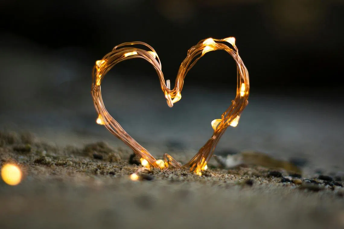 Falling in love in this view is not a decision you make for your own benefit, but a submission, a poetic surrender you assent to, often without counting the cost. 