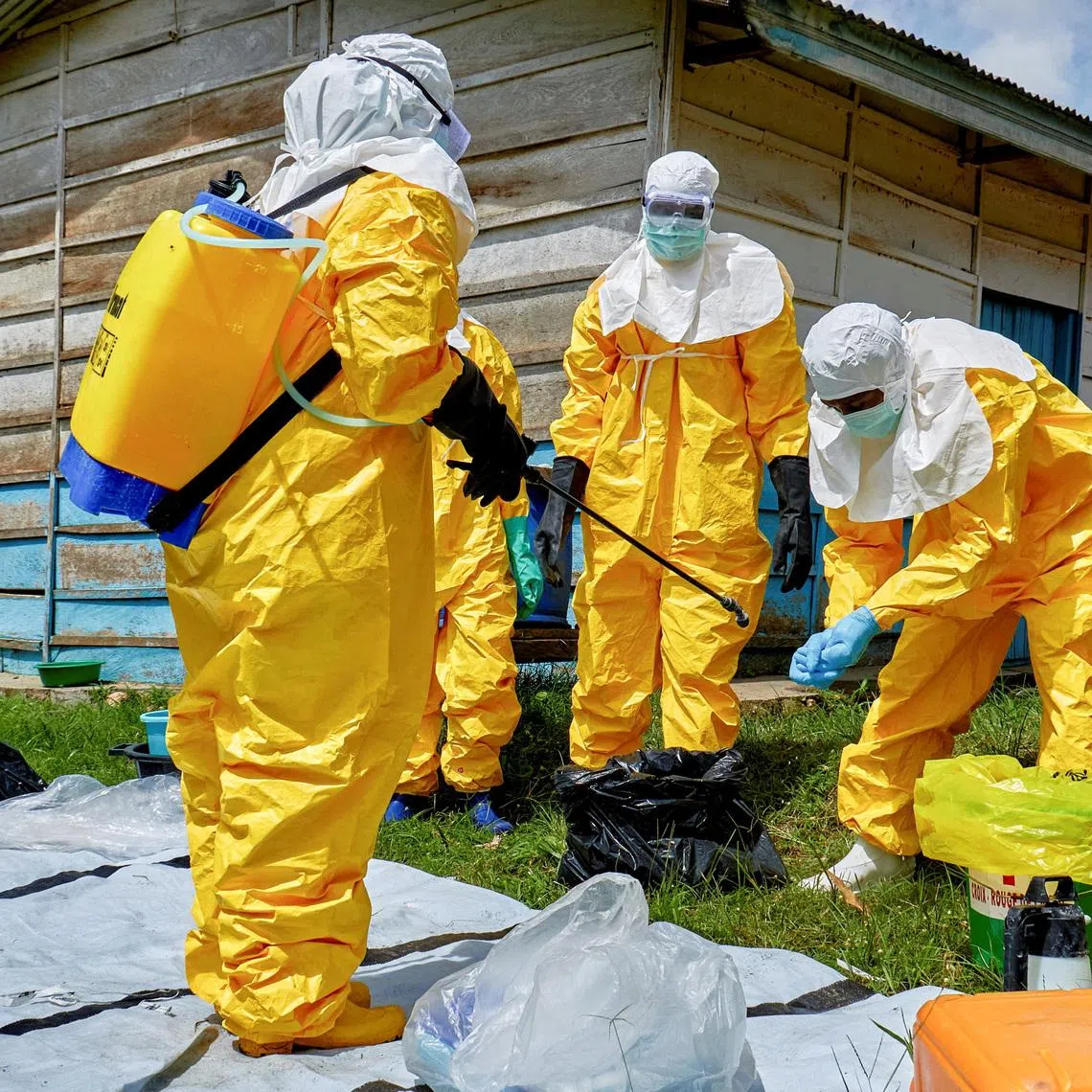 The Bundibugyo strain of Ebola was declared an emergency of international concern.