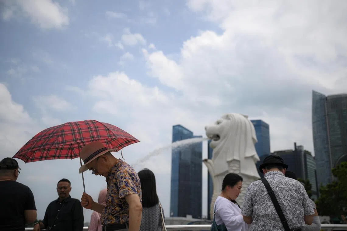 The LionGlobal Singapore Trust Fund posted a return of 33.7 per cent over the past year.