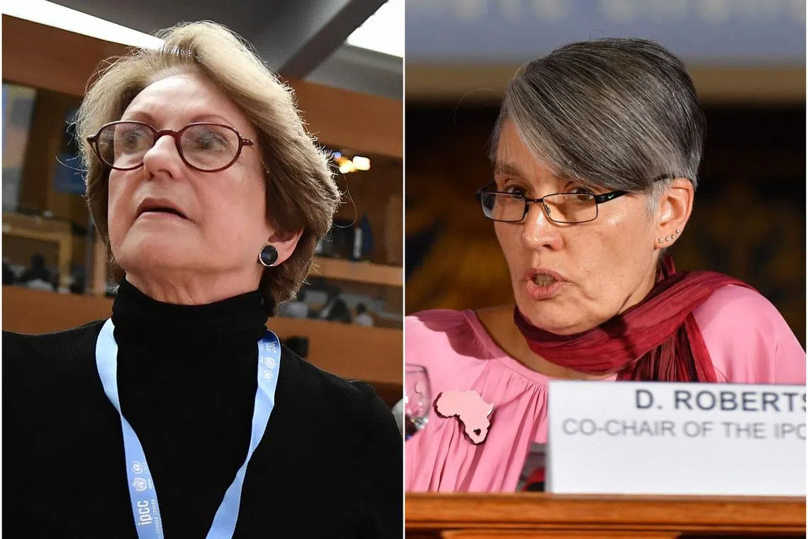 Two women are among four candidates for the post – Brazil’s Thelma Krug (left) South Africa’s Debra Roberts.