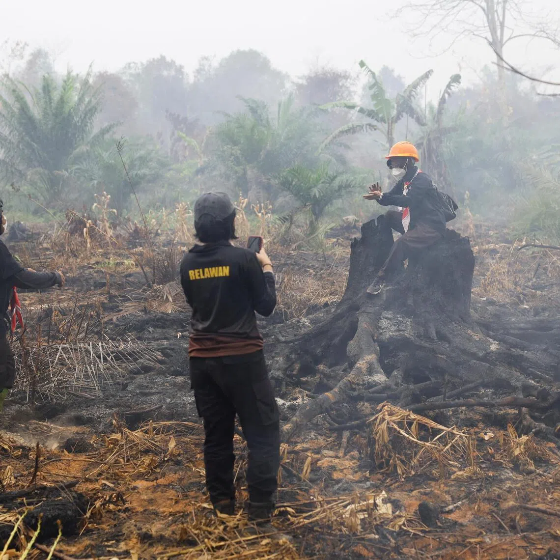 The country is battling its most intense wildfires in 11 years, with “super El Nino” weather conditions parching the country’s forests and fields. 