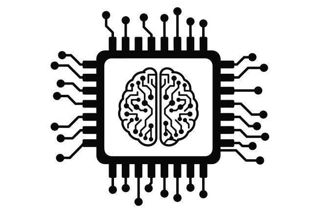 The secret to surviving the AI age is not knowing how to build a digital second brain, but simply having the courage to keep experimenting with our first, says the writer.