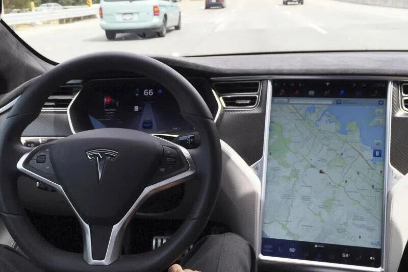 The driver of the Tesla Model S was reportedly looking for his dropped phone before he crashed into an SUV.