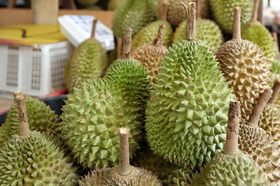 Johor is among the top producers of durian in the country.