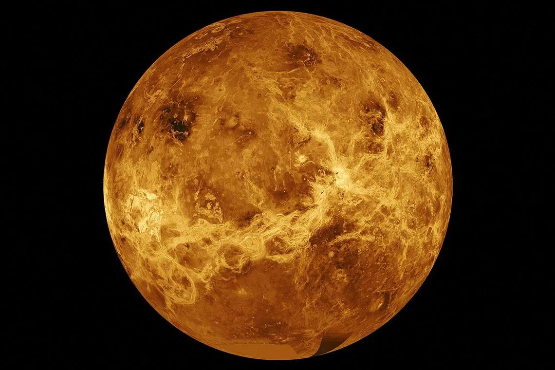 The layer of oxygen, which is atomic in nature consisting of a single oxygen atom, is sandwiched between two other layers of Venus' atmosphere. 