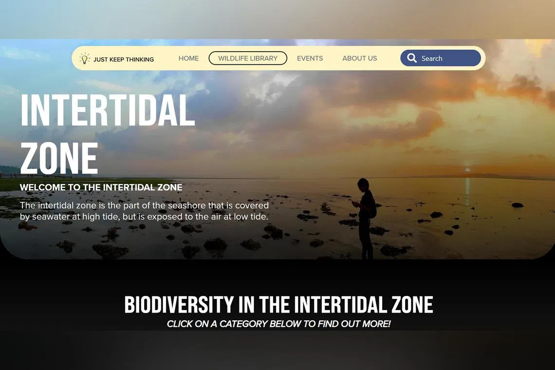 New ‘Singapore Pokedex’ aims to turn hikes into wildlife-spotting adventures