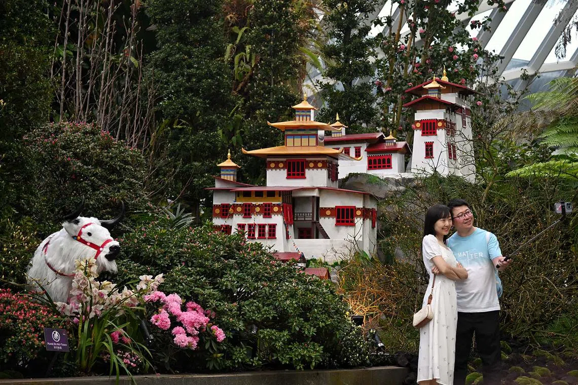 Visitors at the new Azaleas of Shangri-La floral display inside Gardens by the Bay's Cloud Forest on April 9, 2024.  