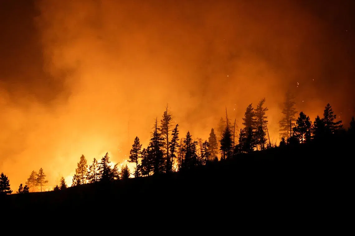 Flames from the Shetland Creek wildfire are seen from Highway 1 outside Ashcroft, British Columbia, Canada, where 2,000 people are on evacuation alert in the the province's southern interior, July 19, 2024. REUTERS/Jesse Winter