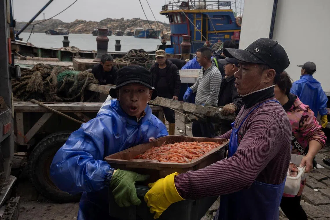 Fishermen unload shrimp which they caught in the Taiwan Strait as their ship discharges its catch at a harbour on Pingtan Island, Fujian province, China.