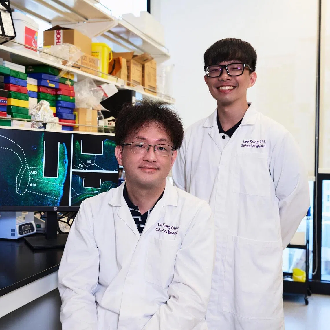 Assistant Professor of Systems Neuroscience Tsukasa Kamigaki (seated) and research fellow Dr Malcolm Ho are part of a team from the Nanyang Technological University's Lee Kong Chian School of Medicine who have uncovered how different brain regions work together to enable self-control. Their findings, published in the journal Science Advances, could help advance the understanding of conditions such as ADHD and addiction.