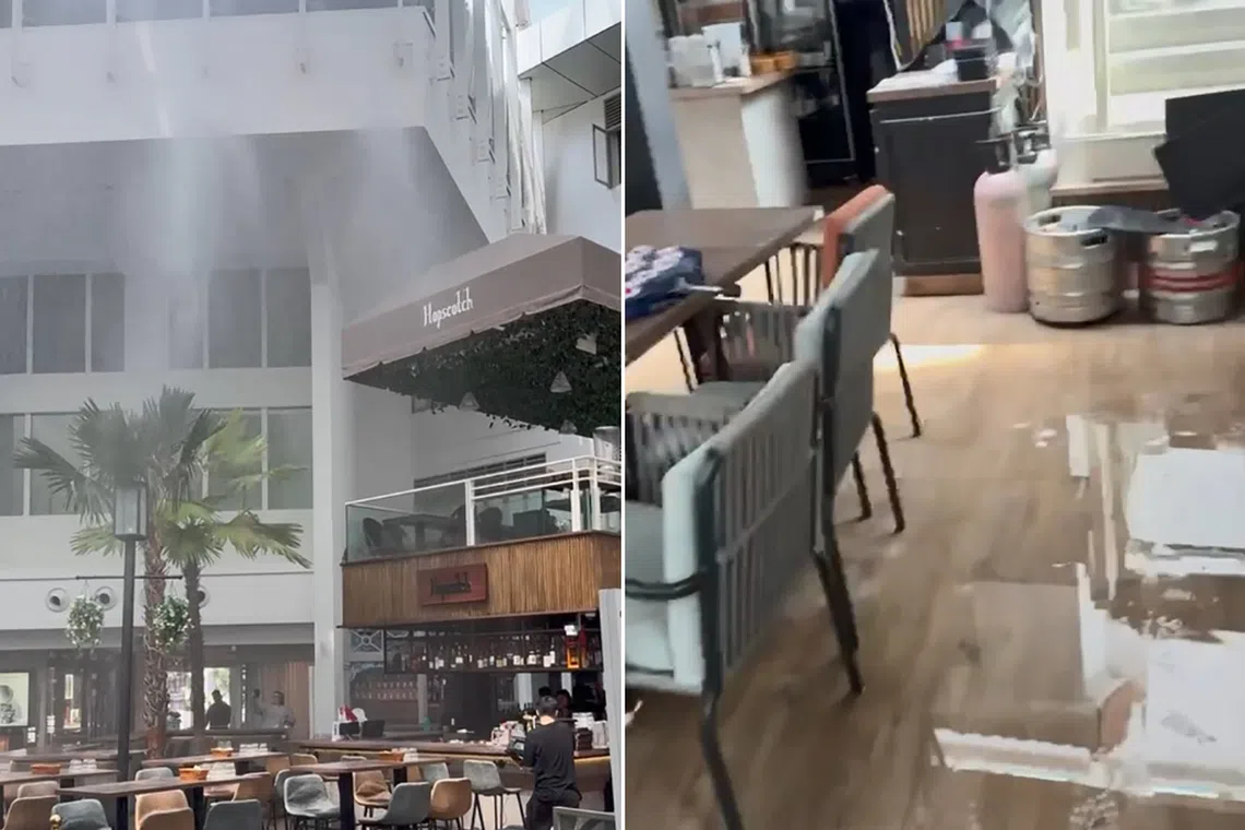 One business said it likely suffered $60,000 to $80,000 in damages. 