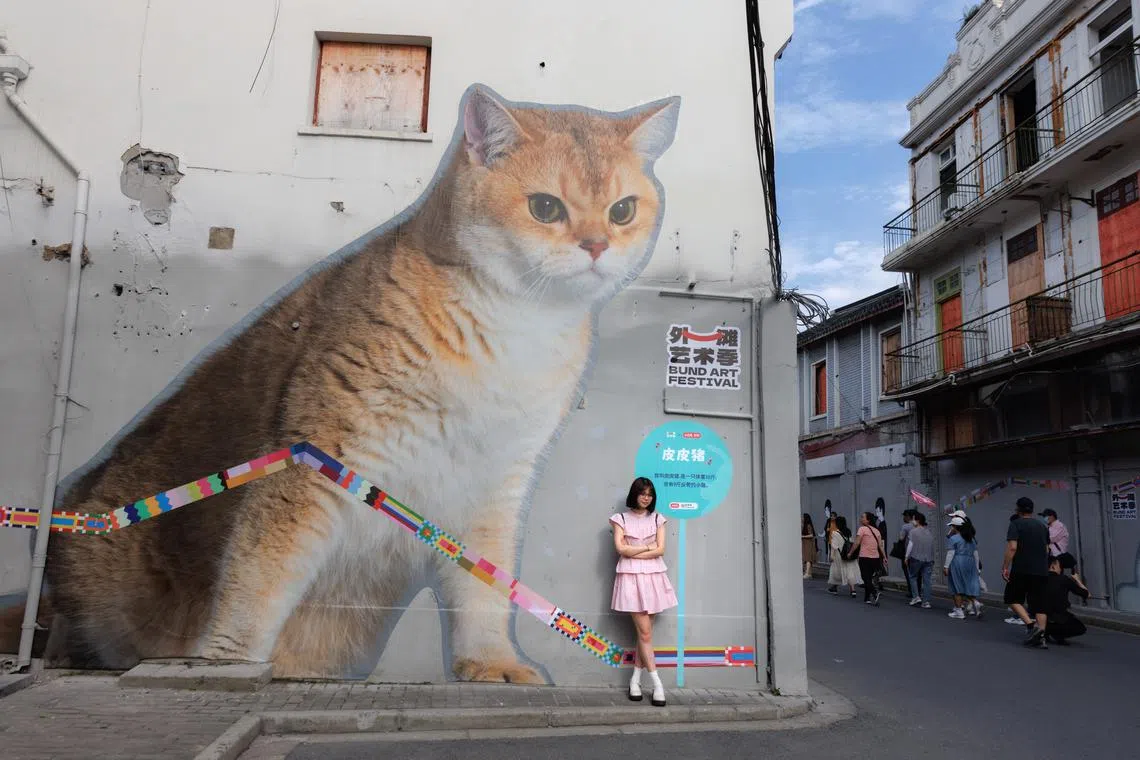 A woman standing on the street in front of the cat mural during the Bund Art Festival, in Shanghai, China, May 16.