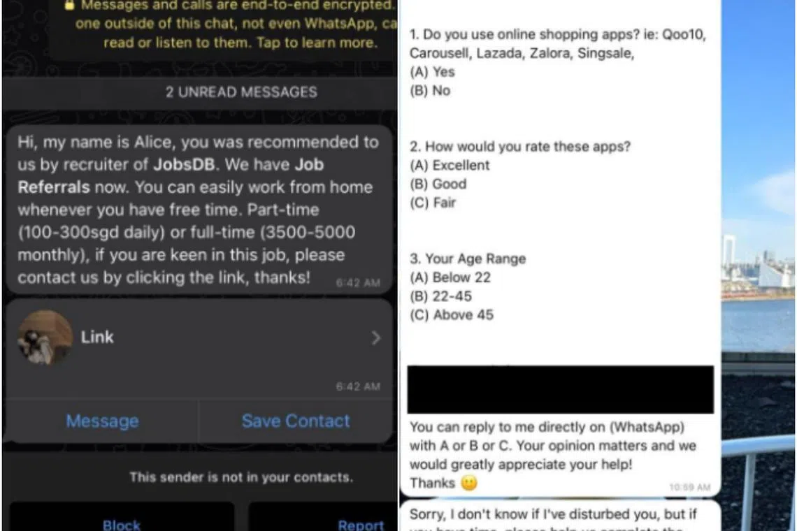 Victims received the job offers through unsolicited WhatsApp or Telegram messages asking them to take part in simple surveys.