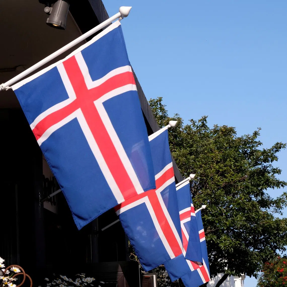 Iceland's national flags flutter over the souvenir shop in Reykjavik, Iceland August 19, 2019. REUTERS/Ints Kalnins
