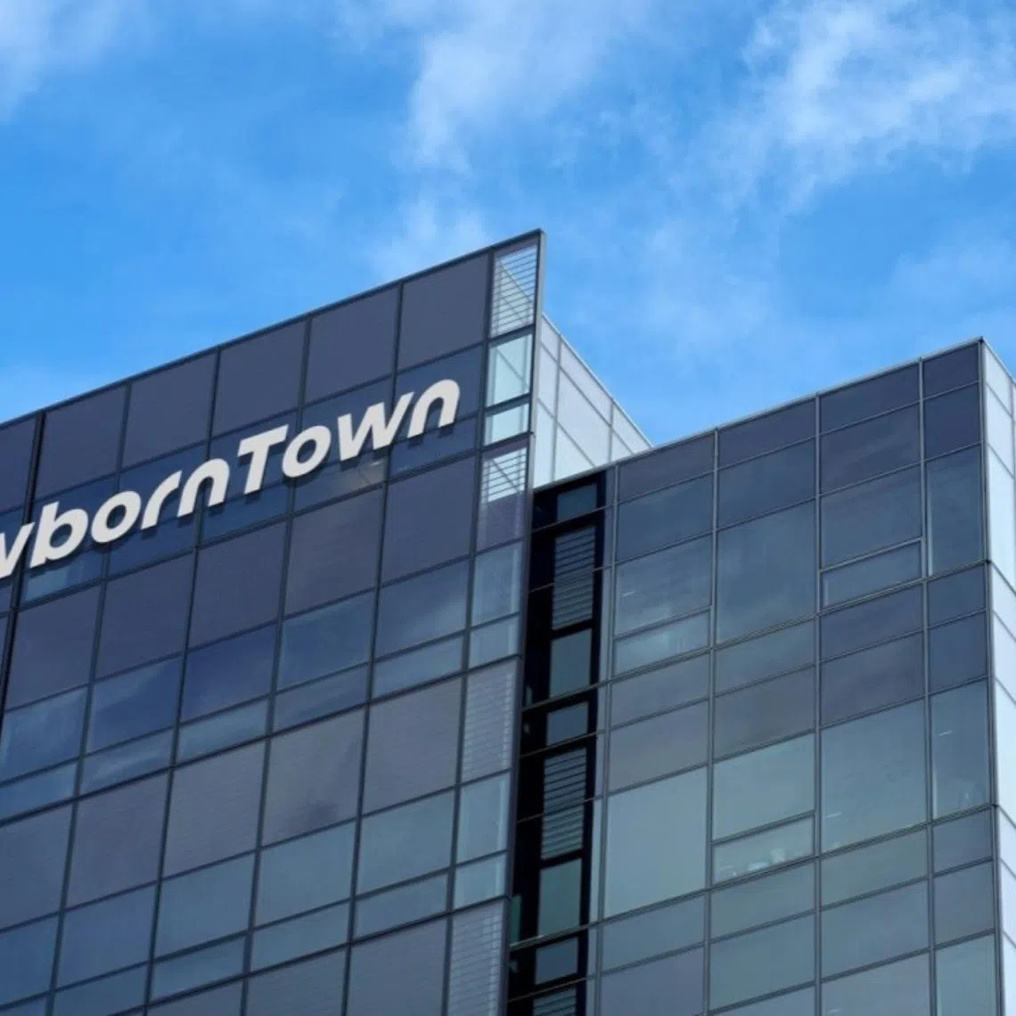 Though based in the mainland, almost all of Newborn Town’s businesses are entirely outside of China.