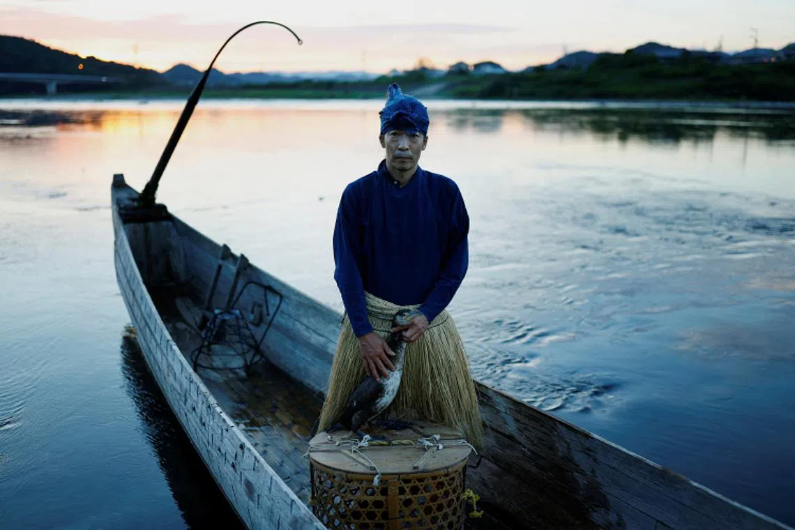 Cormorant fishing master, known as usho, Youichiro Adachi, 48, posing for a picture with his cormorant, before cormorant fishing or ukai, on the Nagara River in Oze, Seki, Japan, Sept 9, 2023. 
Environmental changes are bringing more unpredictable weather with heavy rains and a new necessity for anti-flood barriers on a once calm river, with smaller rocks and sand filling the river bottom and obstructing the larger rocks that form ayu river fish's habitats. 