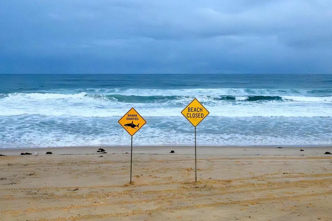 A general view shows the closed signage of the North Steyne Beach in Sydney on January 19, 2026. A shark mauled a surfer off an ocean beach in Sydney on January 19 in the Australian city's third shark attack in two days, authorities said. (Photo by Steven Markham / AFP)
