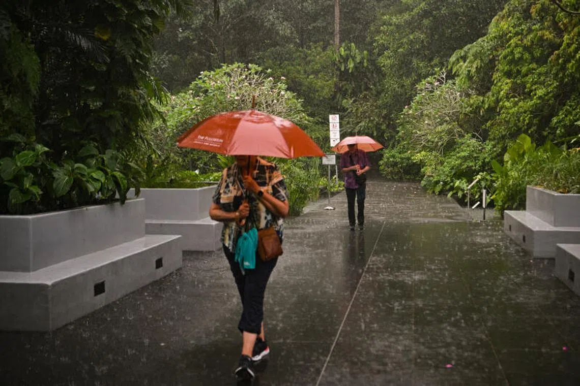 For the whole of February, Singapore received around 80 to 280 per cent more rain than average.
