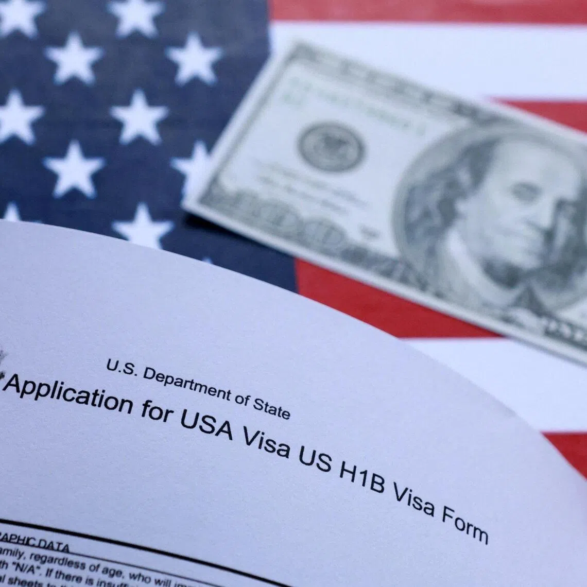 The H-1B programme allows US employers to hire foreign workers in specialty fields.