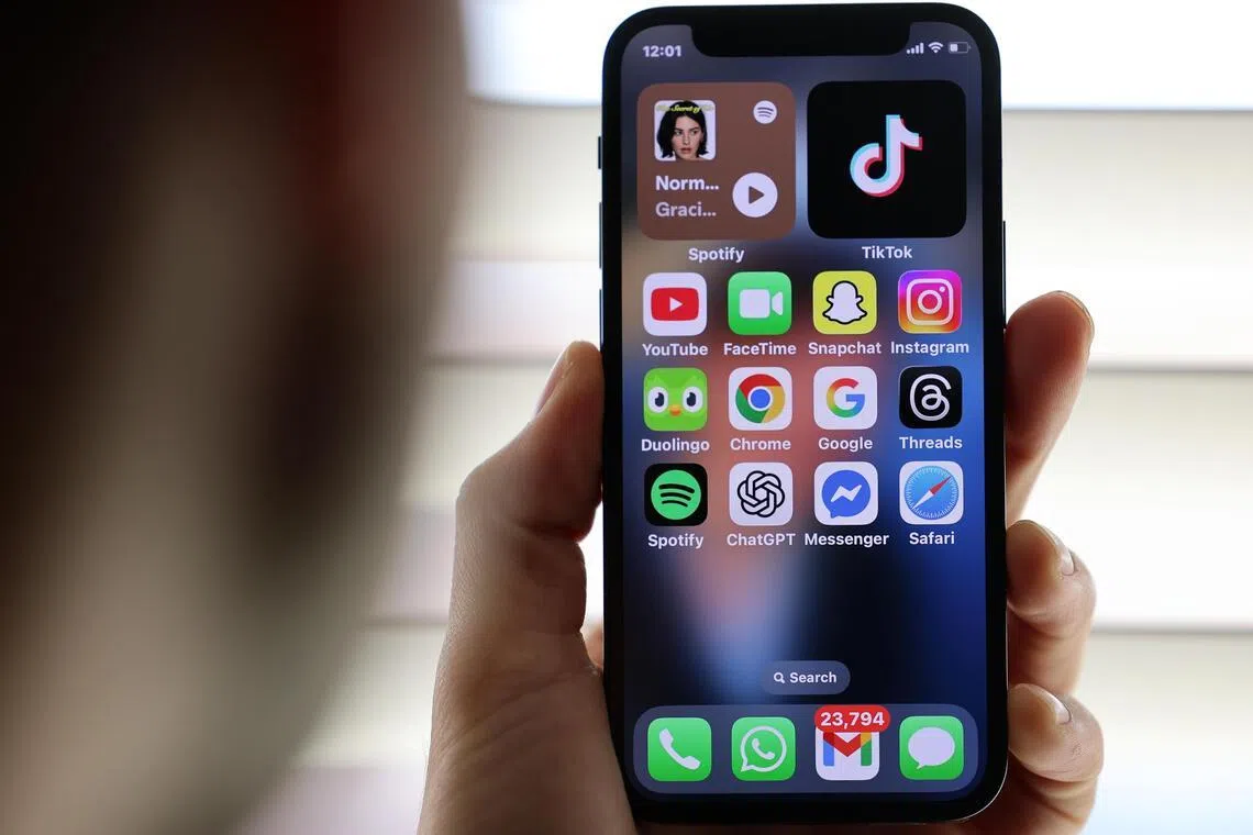 Several European countries, such as France, Spain, and Denmark have already said they will introduce a digital age of majority for social networks.