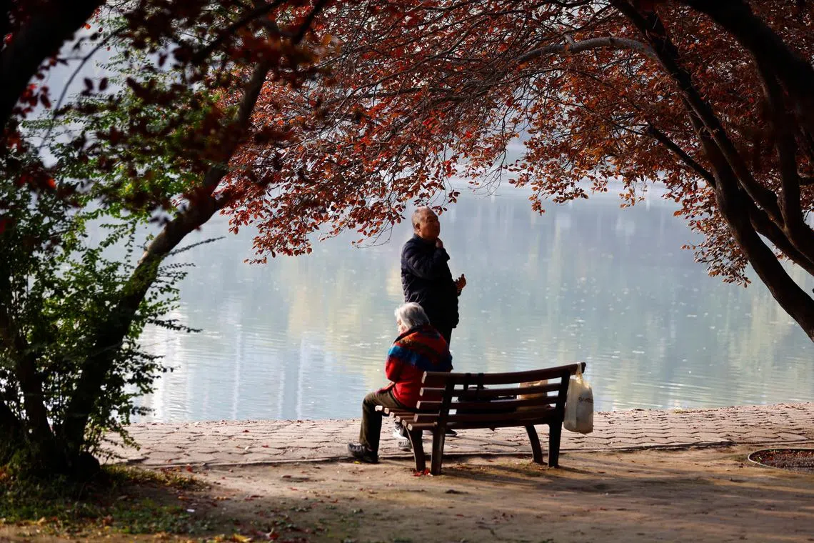 The demographic shift may also mark the emergence of mass loneliness as its own distinctive investment theme, with Asia at its forefront.