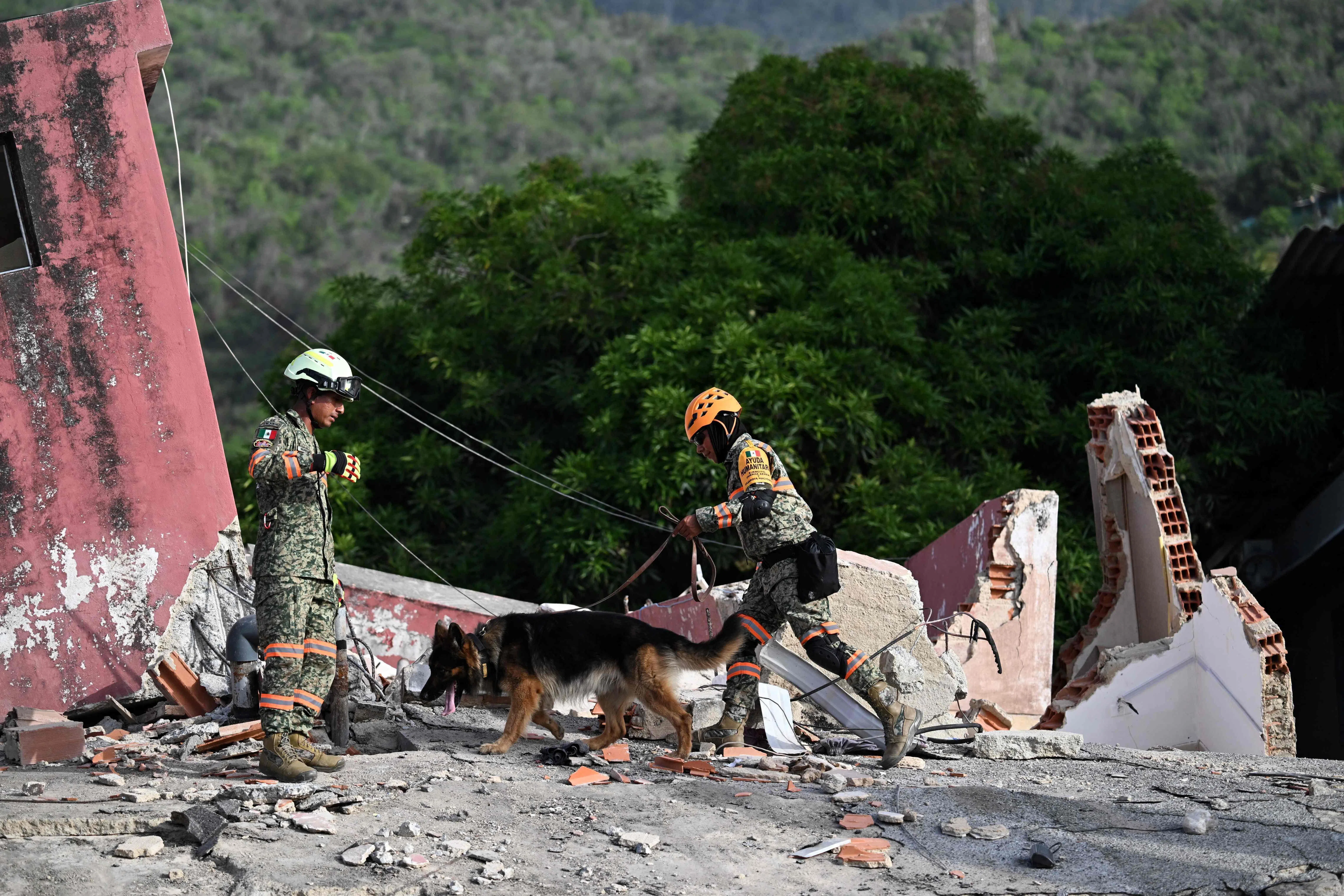 Members of the Mexican army search for possible victims with a rescue dog amid the rubble of a collapsed building following earthquakes in Caraballeda, La Guaira state, Venezuela, on June 26, 2026. The death toll from two powerful earthquakes that devastated Venezuela earlier this week rose to 920 on June 26, National Assembly President Jorge Rodriguez said. (Photo by Juan BARRETO / AFP)
