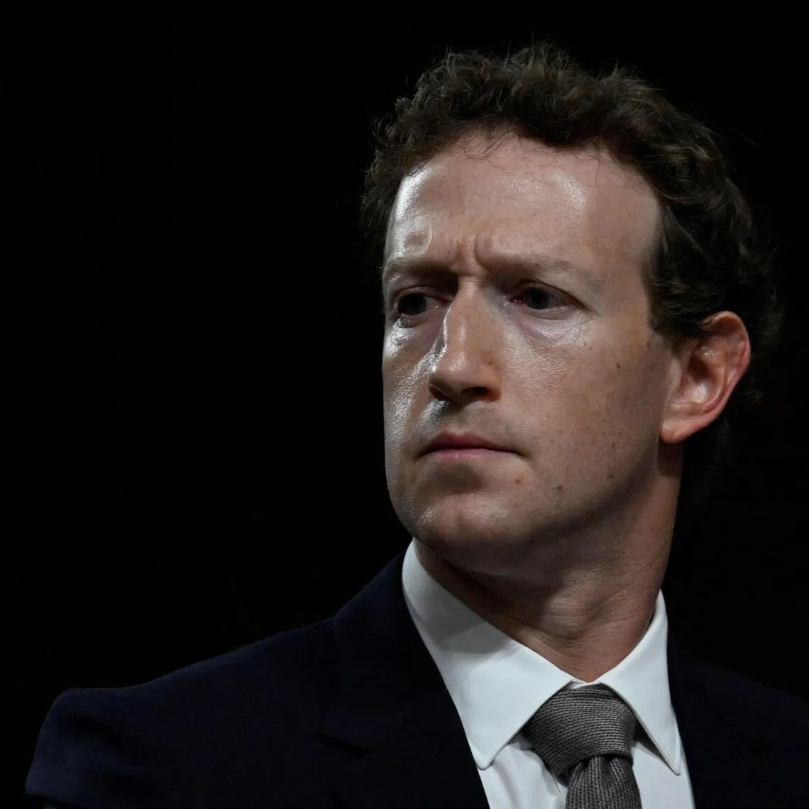 Meta chief executive Mark Zuckerberg joined a chorus of technology executives weighing in on a global debate on AI.