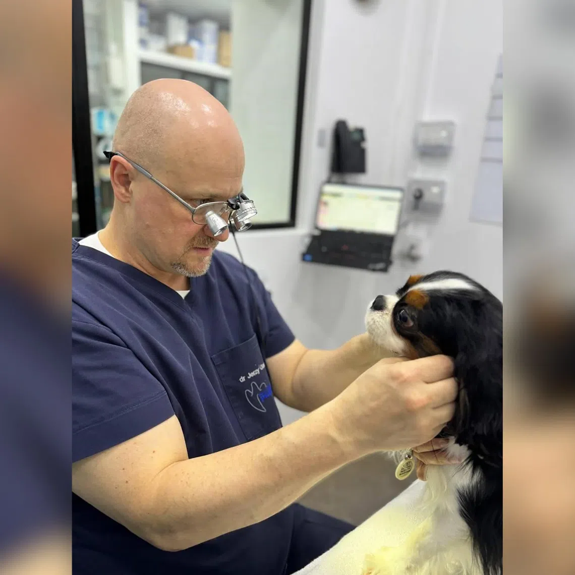 Dr Jerzy Gawor, a visiting veterinary dental specialist at Vet Central, with a canine patient.