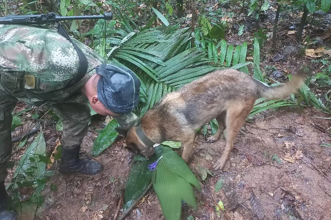 A search operation for child survivors from the plane crash in Caqueta, Colombia, on May 17.