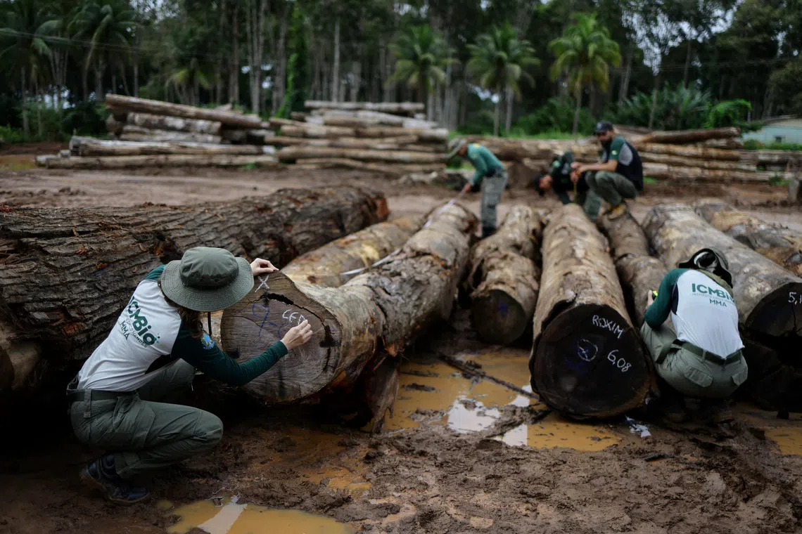 Countries are currently not on track to meet 22 of the 23 goals set out in the Kunming-Montreal framework.