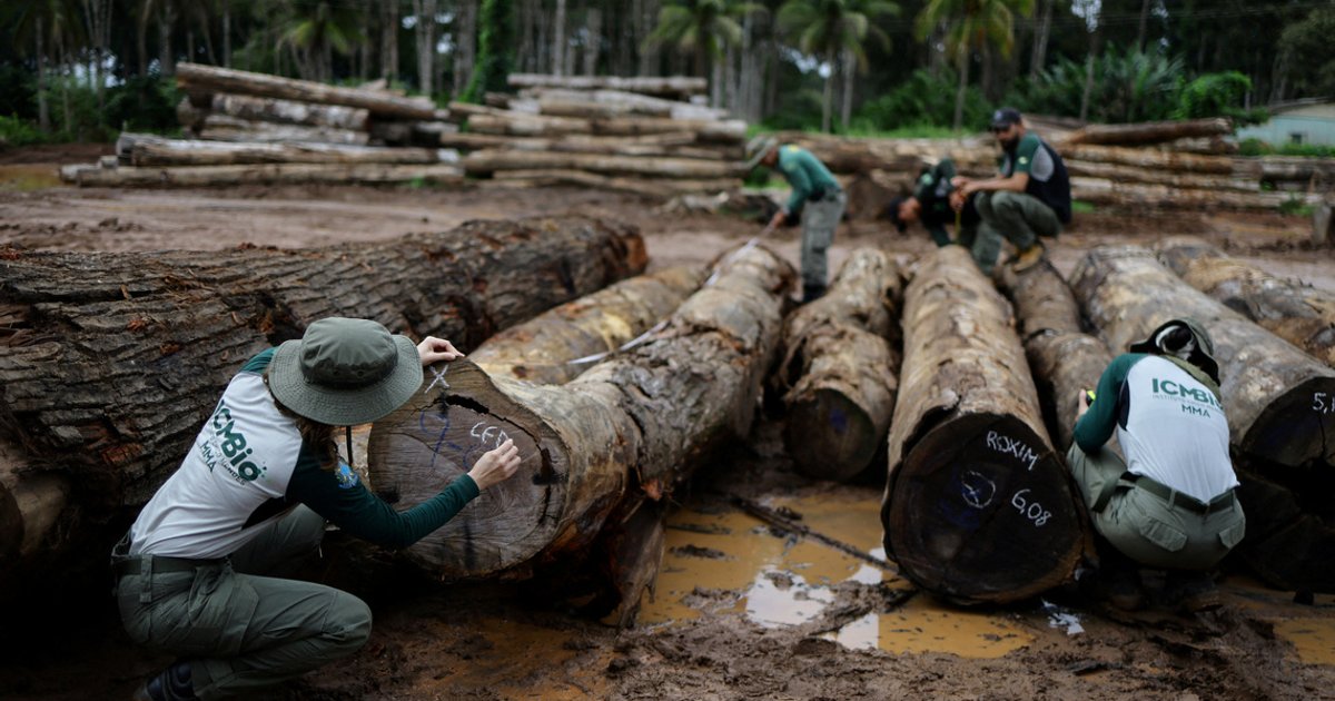 World faces nature reality check at UN biodiversity conference