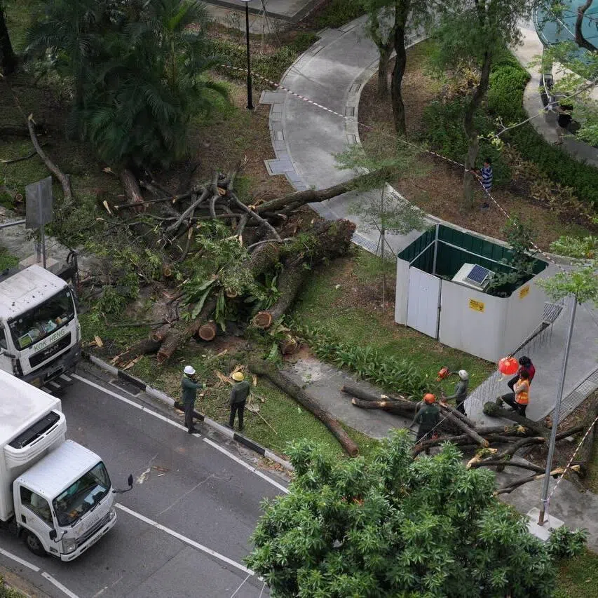 A car passes the one-way road in between Block 92 Pipit Road and Block 54 Pipit Road, where a fallen tree had affected traffic flow.