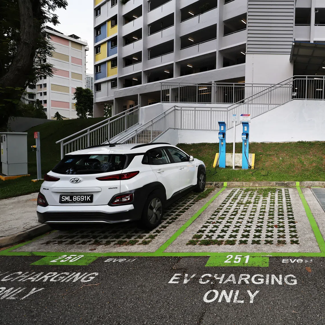 The intent to differentiate EVs and PHEVs from other vehicle types through licence plates is to allow first responders and the public to clearly identify these two types of vehicles easily.