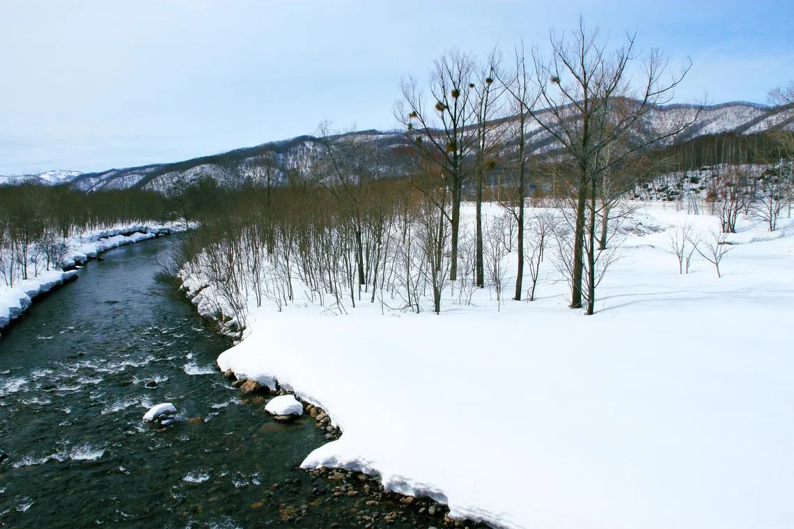 The snowboarder came across a leg sticking out of the snow while out in the hilly region of Akaigawa Village in Hokkaido.
