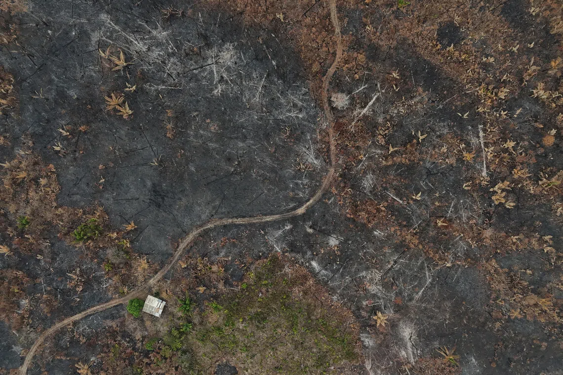A drone view of a deforested area in the rainforest, burned by wildfire during the dry season, in the municipality of Autazes, in the state of Amazonas, Brazil.