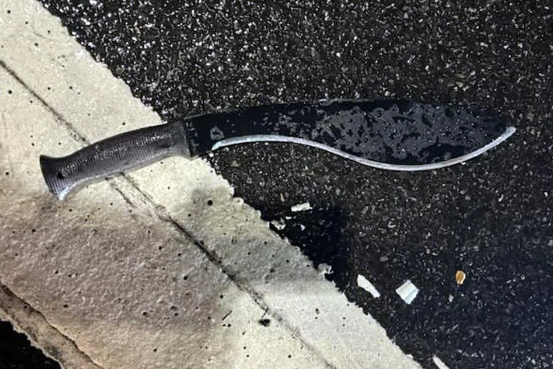 The assailant hit two officers on the head, without causing life-threatening injury.