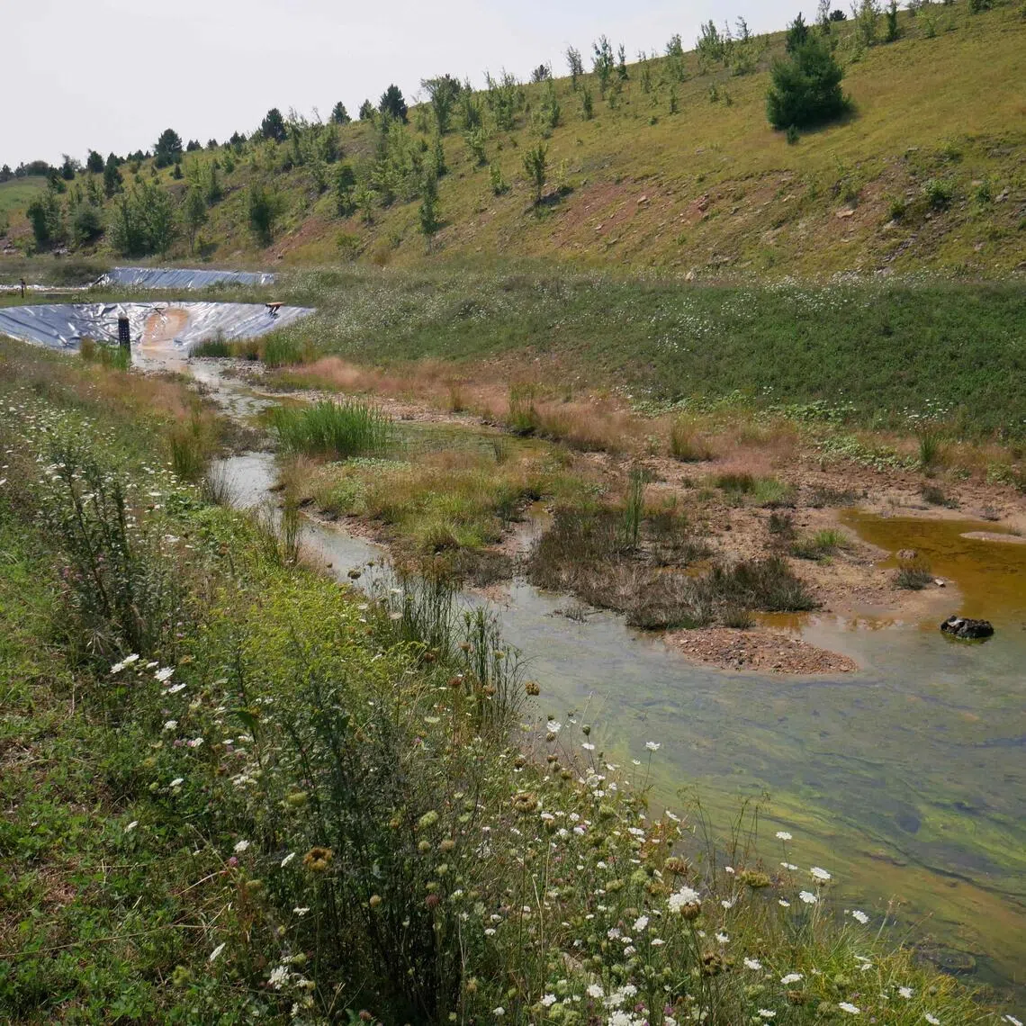 A basin collects polluted water flowing from a former coal mine at West Virginia University’s pilot plant in Mount Storm, West Virginia, on Aug 12.