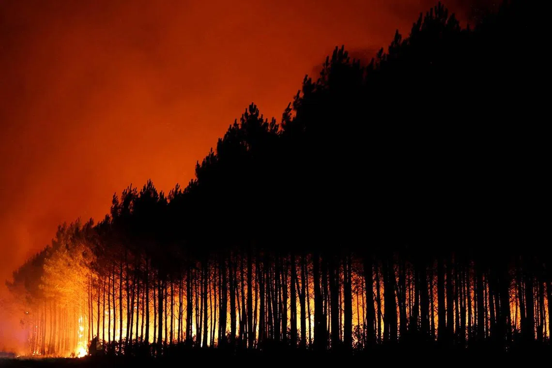 A wildfire burns in a forest area in the Gironde department amid worsening drought conditions following a heatwave and water shortages across much of France, July 22, 2026. REUTERS/Stephane Mahe TPX IMAGES OF THE DAY