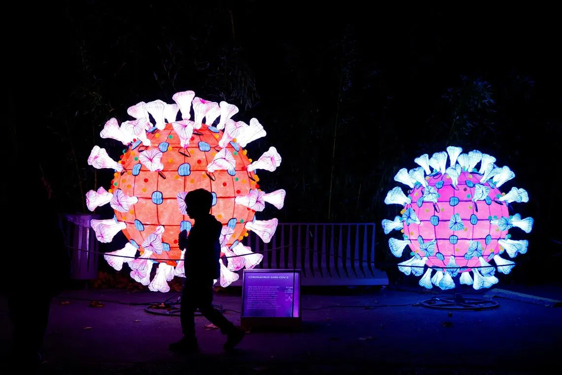 A visitor walks past an illuminated coronavirus (COVID-19) model as he visit the "Mini-Worlds on the Way of Illumination" (Mini-Mondes en voie d'illumination) exhibition during the Light Festival preview at the Jardin des Plantes (Botanical garden) in Paris, France, November 12, 2022. 